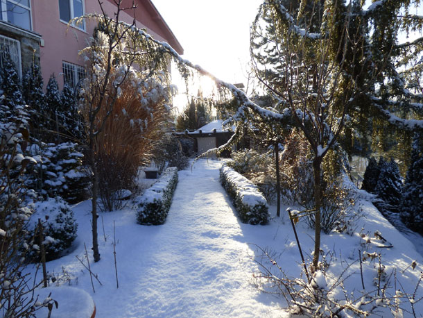 Zima-zahrada-2-X.jpg
